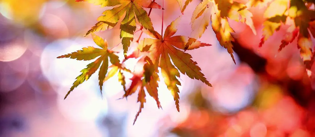 importancia-de-los-colores-en-el-diseno